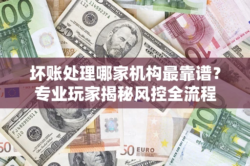 武汉坏账处理哪家机构最靠谱？专业玩家揭秘风控全流程