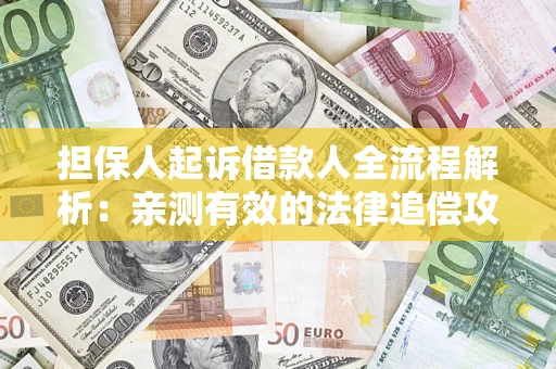 武汉担保人起诉借款人全流程解析：亲测有效的法律追偿攻略