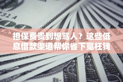 武汉担保费贵到想骂人？这些低息借款渠道帮你省下冤枉钱