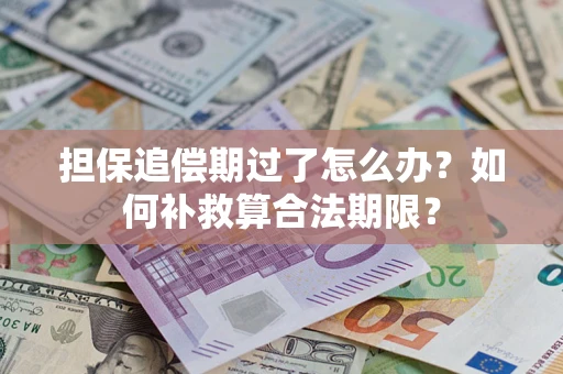 武汉担保追偿期过了怎么办？如何补救算合法期限？