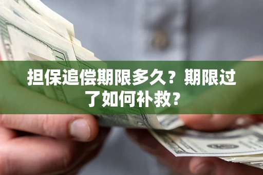 武汉担保追偿期限多久？期限过了如何补救？