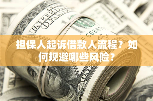 武汉担保人起诉借款人流程？如何规避哪些风险？