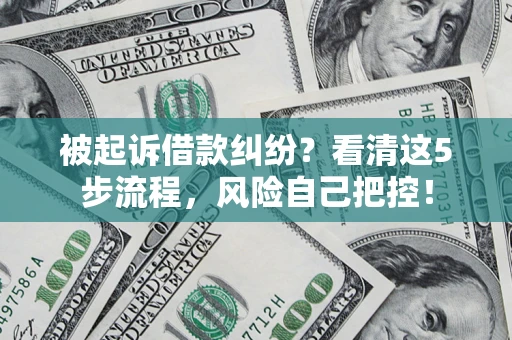 武汉被起诉借款纠纷？看清这5步流程，风险自己把控！
