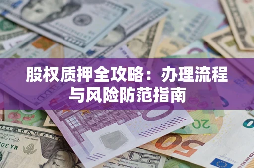 武汉股权质押全攻略：办理流程与风险防范指南